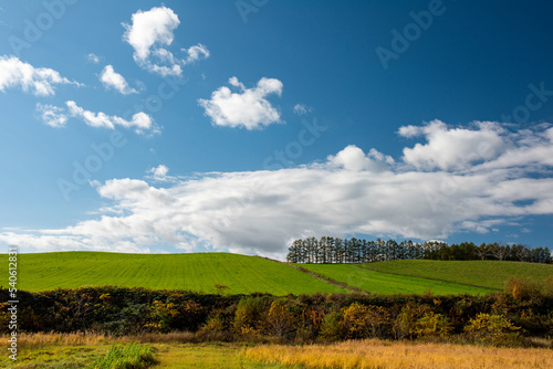 大きな白い雲と緑の畑