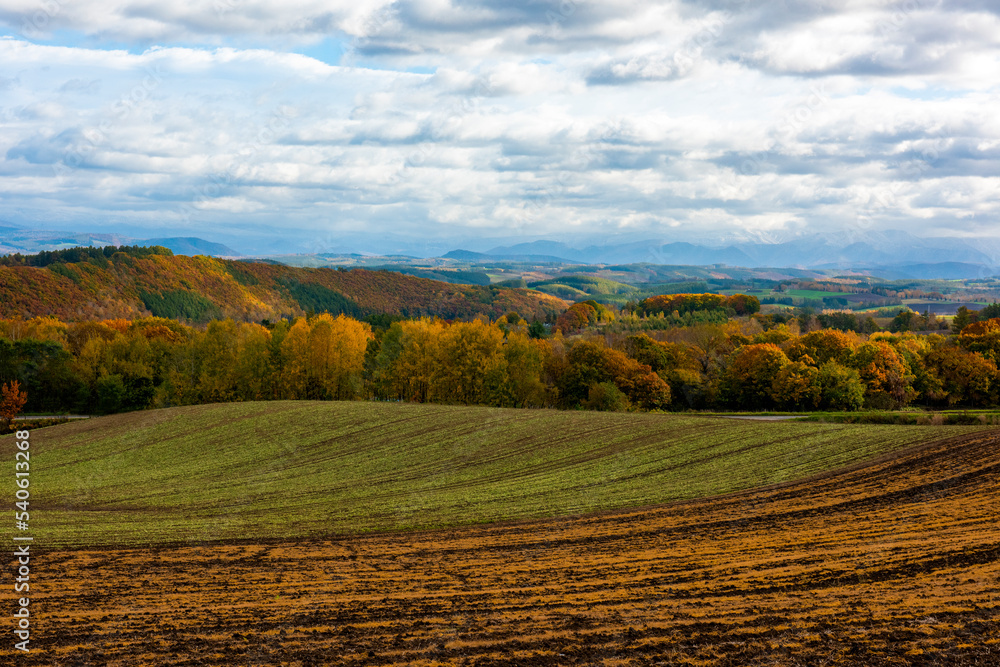 Obraz premium 北海道の秋らしい風景