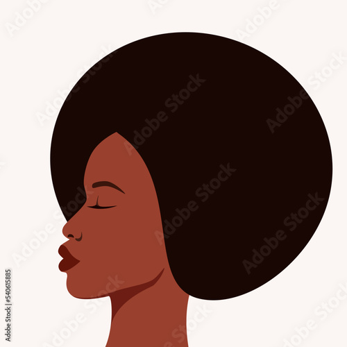 Portrait of a beautiful African American woman. Profile.
