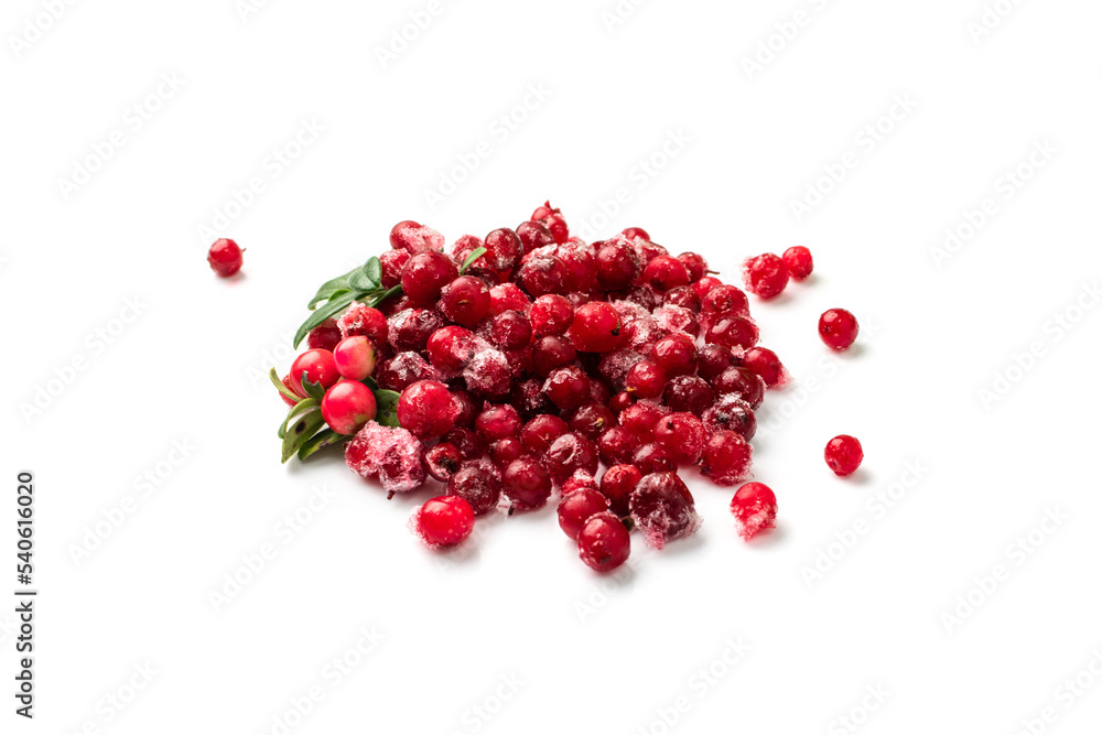 Frozen Cowberry, Iced Lingonberry Frozen Cowberry, Iced Lingonberry