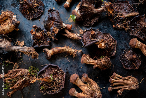 dried mushrooms on the dark background
