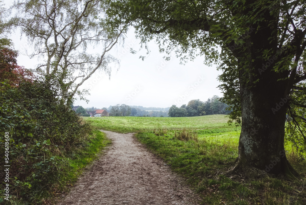Wanderweg am Pastoratsberg in Essen Werden Wanderweg am Pastoratsberg in Essen Werden