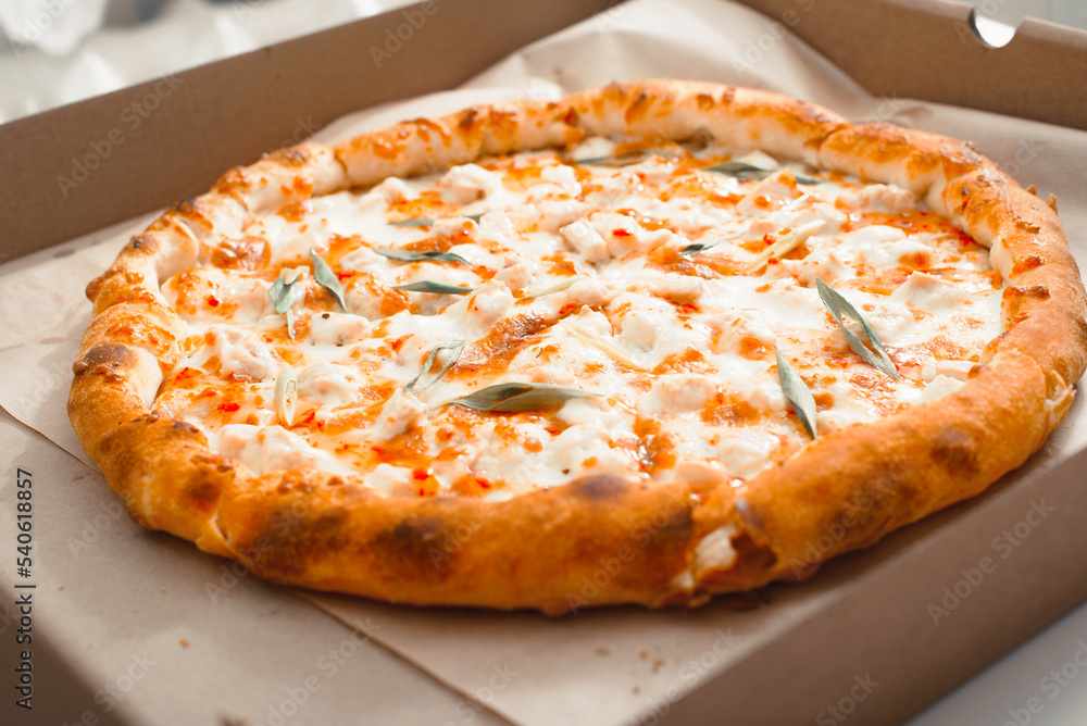 Appetizing delicious pizza with cheese and green onions in cardboard box. Close-up of fresh Italian cuisine food