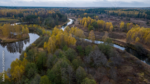 panoramic view from a drone on the edge of the forest with wooden houses and a river against the backdrop of autumn nature