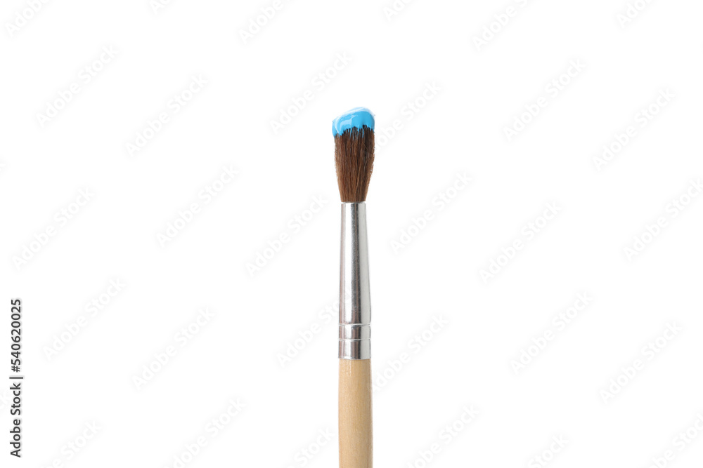Paint brush with paint isolated on white background Paint brush with paint isolated on white background