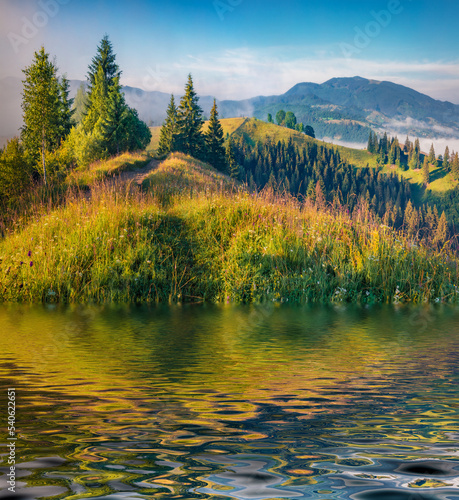Fresh green hills reflected in calm waters of small lake in Carpathian Mountains. Colorful morning scene of mountain countryside. Beauty of nature concept background.