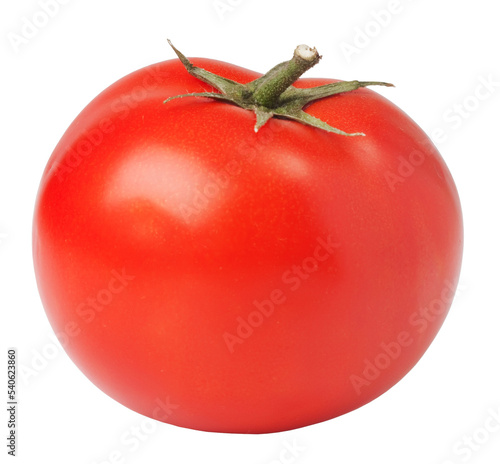fresh tomato