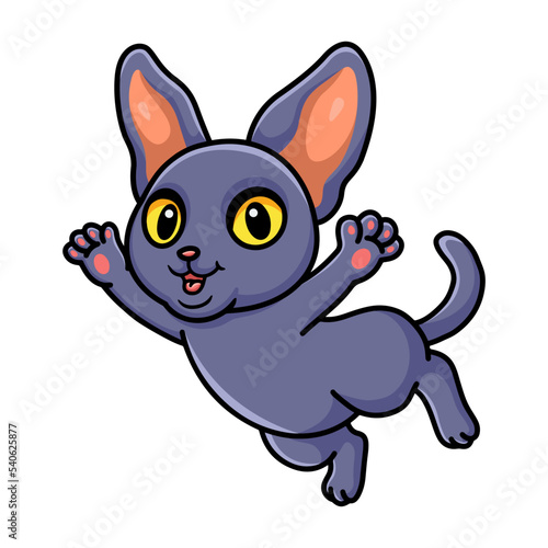 Cute peterbald cat cartoon posing