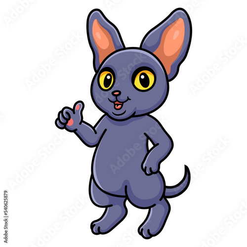 Cute peterbald cat cartoon giving thumb up