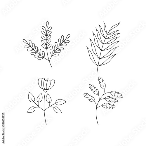 Collection of botanical line art petals  plants. Hand drawn sketch branch for vector illustration elements