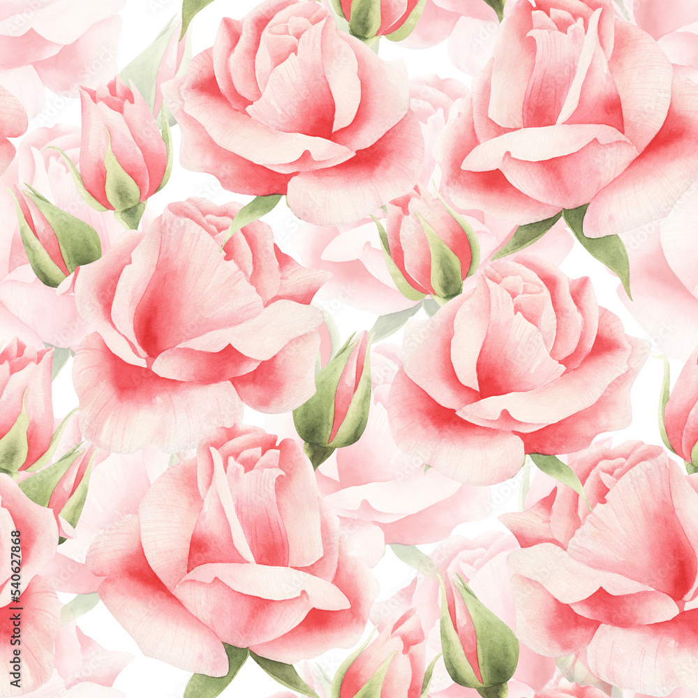 Watercolor pink rose background. Pattern with watercolor roses in white.