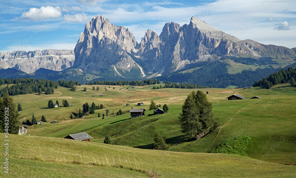 Obraz premium majestic mountain view in the dolomites: beautiful and famous alp di siusi and distinctive sassolungo mountain group at gardena valley in south tyrol.