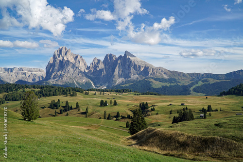majestic mountain view in the dolomites: beautiful and famous alp di siusi and distinctive sassolungo mountain group at gardena valley in south tyrol.