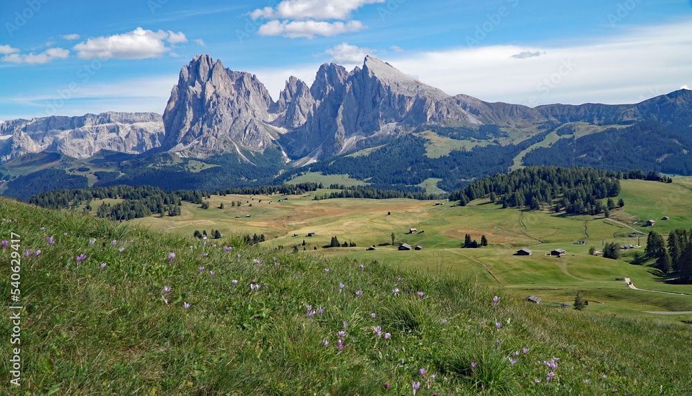 Majestic mountain view in the dolomites: Distinctive Sassolungo mountain group at gardena valley in south tyrol.	
