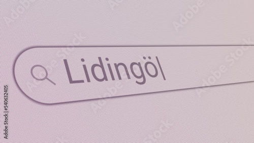 Search Bar Lidingo 
Close Up Single Line Typing Text Box Layout Web Database Browser Engine Concept photo