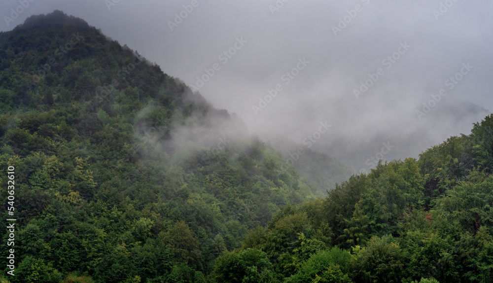 Beautiful cloudy landscape, fog in the forest pine mountains Beautiful cloudy landscape, fog in the forest pine mountains