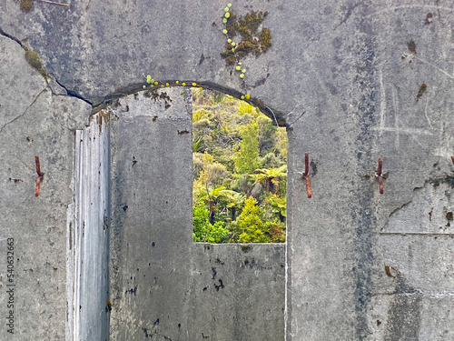 Close-up of the old concrete walls of a historic community bathhouse. View looking through the window into the native New Zealand bush surroundings. photo