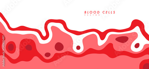 Human red blood cells.