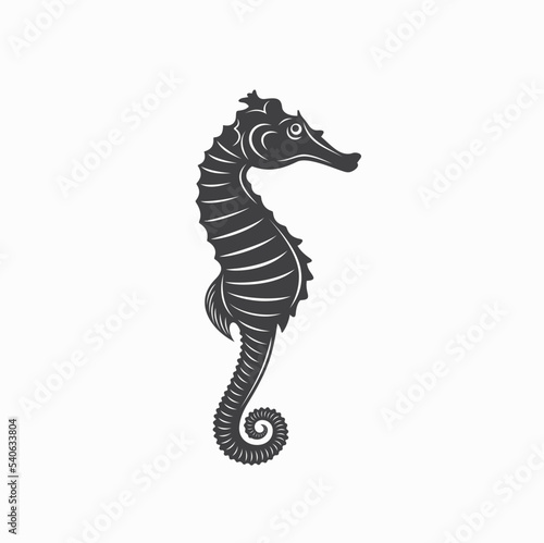 illustration of seahorse, vector art.