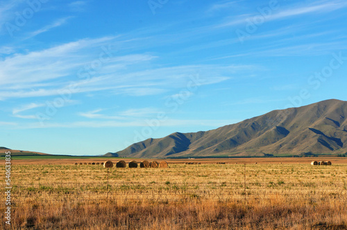Scenic blue shaded mountain range and dry farmland under bright blue autumn sky in scenic Mackenzie District, South Canterbury, New Zealand photo