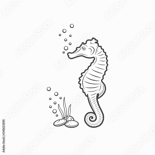 illustration of seahorse, vector art.