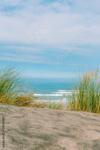 Wallpaper Mural sunny beach view Torontodigital.ca