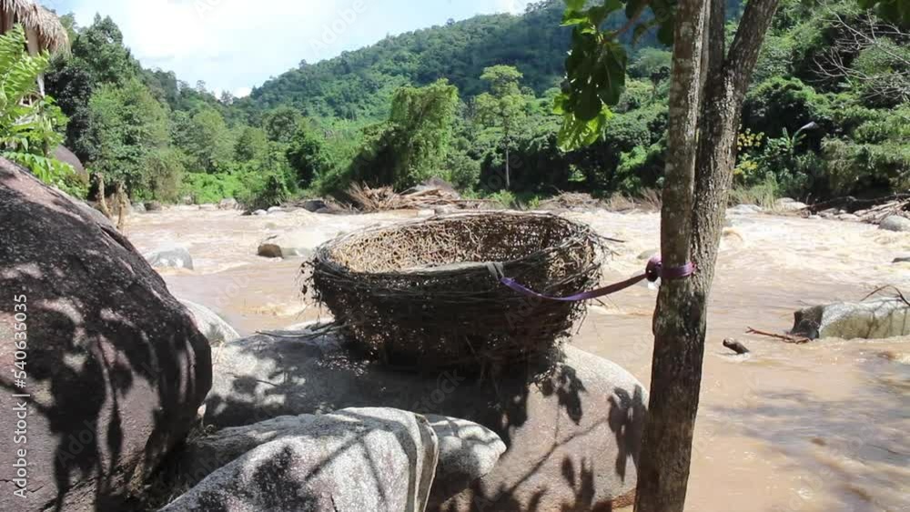 River flood are flowing down the mountain slopes of the mountain forest after heavy rains in Thailand, stock footage