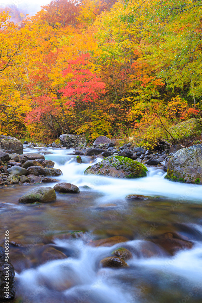 mountain river in autumn mountain river in autumn