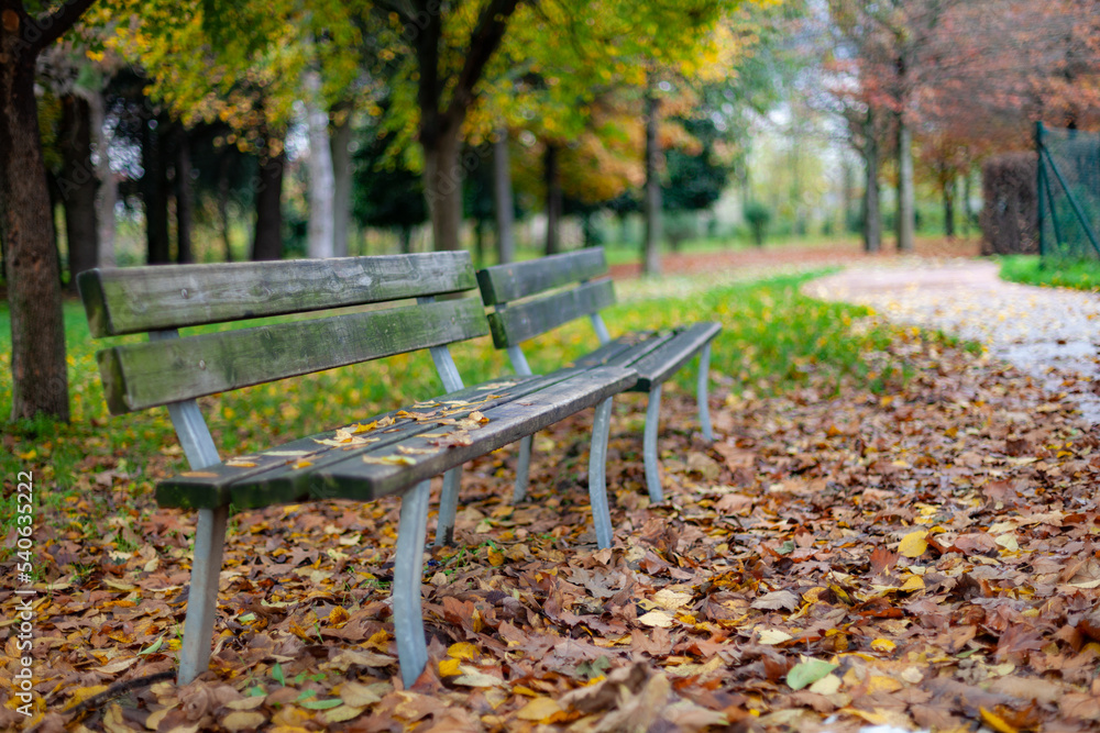 Empty benches in a park on an autumn day. Empty benches in a park on an autumn day.