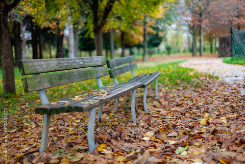 Empty benches in a park on an autumn day.