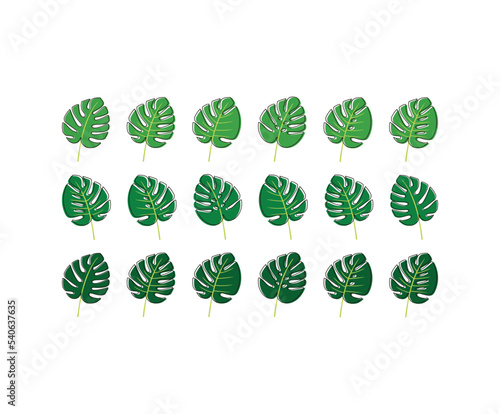 Monstera Tropical Set of Plant Green Leaves. Flat Monstera Vector Illustration Set Isolated on White.
