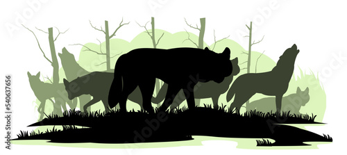 Pack of wolves in forest. Silhouette picture. Wild animal in nature. Predator in natural conditions. Isolated on white background. Vector.