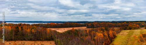 Beautiful autumn coloured forest lanscape on overcast foggy day.Banner,advertisement.