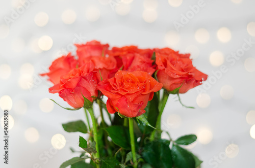 Top view of beautiful red roses bouquet against white background with bokeh. Greeting card. 8 March. Mother's Day. Happy Woman Day. © Oleksandra
