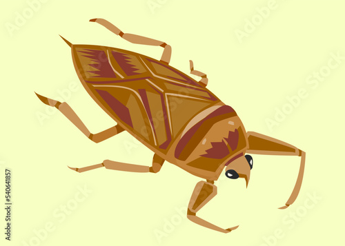 タガメのイラスト