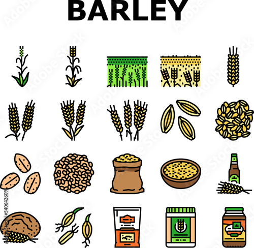 barley cereal grain harvest icons set vector. agriculture food, wheat crop, seed bread, organic plant, rye farm, healthy, nature barley cereal grain harvest color line illustrations