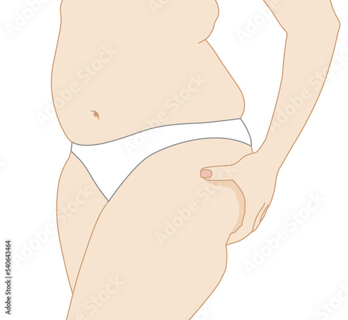 Overweight woman hand holding fat buttocks thighs and chubby big belly closeup, Illustration isolated on white background photo
