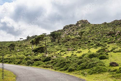 Galician panorama along the road to San Andres de Teixido, A Coruna Province, Galicia, Spain photo