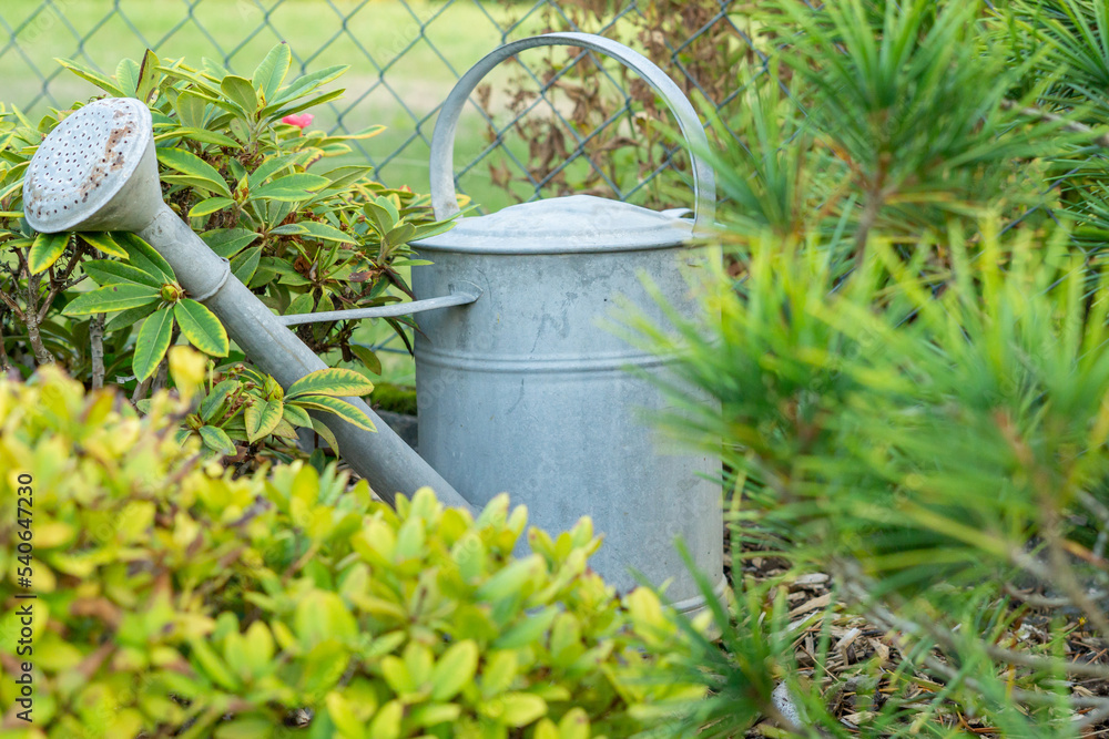 watering can in garden