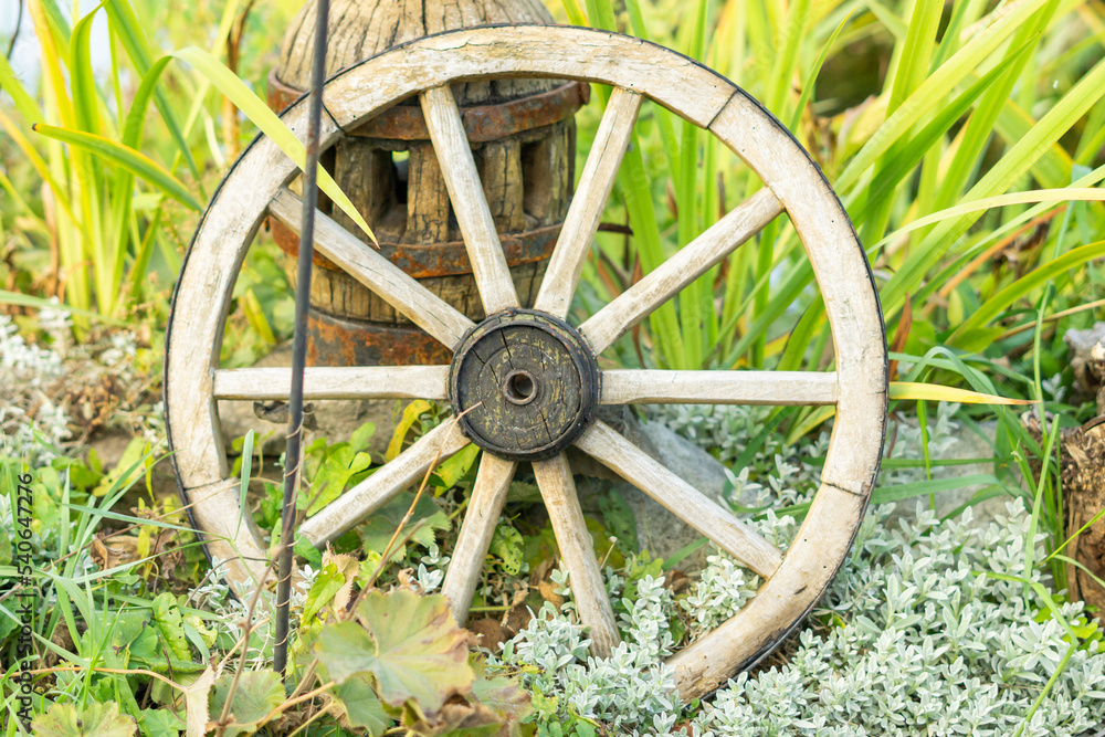 old wagon wheel