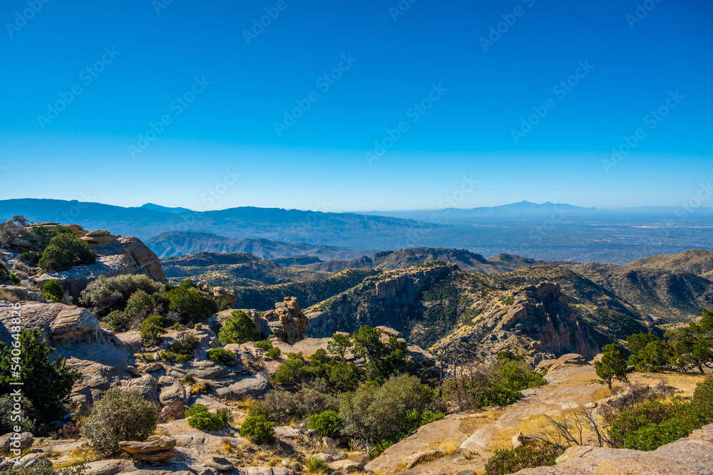 Obraz premium An overlooking view of Tucson, Arizona