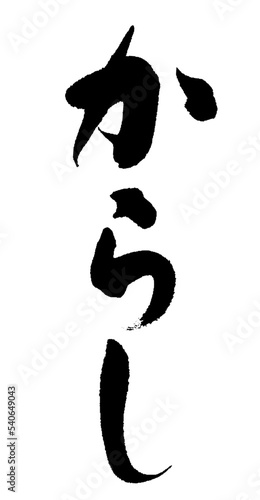 からし_02