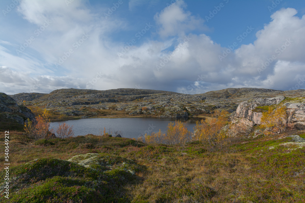 In autumn, tundra with a lake and trees with yellow leaves. In autumn, tundra with a lake and trees with yellow leaves.