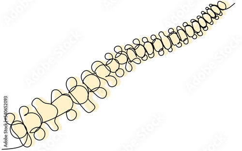 Spine in one line with a yellow silhouette on a white background. Human back health concept. Cartoon vector spine. Stock graphics.
