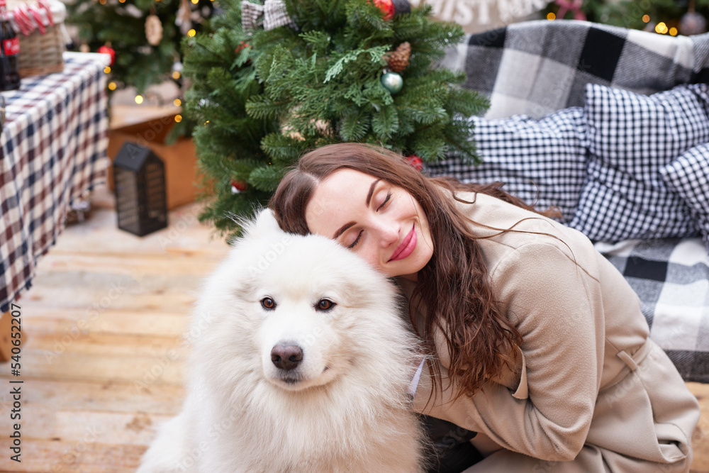 Young woman on background of Christmas tree with white samoyed dog outdoors. Yard decoration for New Year Young woman on background of Christmas tree with white samoyed dog outdoors. Yard decoration for New Year