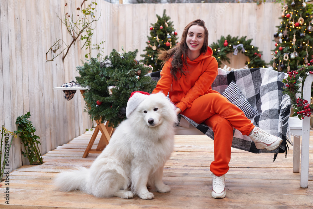 Young woman on background of Christmas tree with white samoyed dog in santa hat outdoors. Yard decoration for New Year.