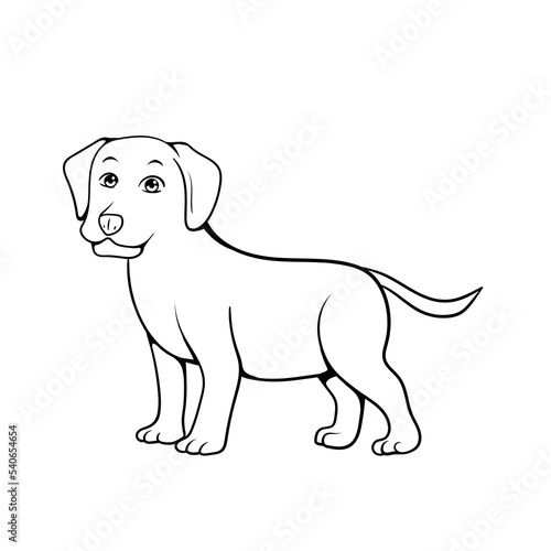 Smiling dog vector black and white line drawing © F Sahal