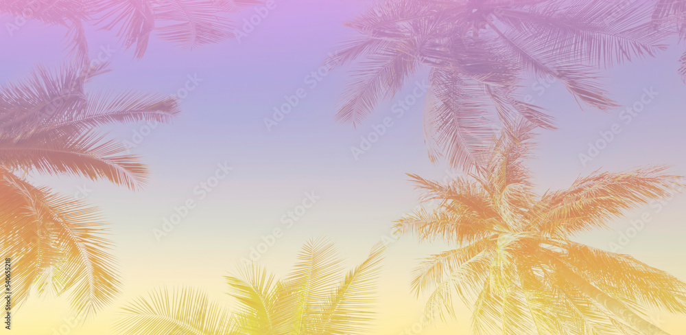 The wallpaper of a holiday of Summer holiday colorful theme with palm trees background as texture frame background The wallpaper of a holiday of Summer holiday colorful theme with palm trees background as texture frame background