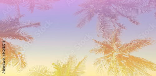 The wallpaper of a holiday of Summer holiday colorful theme with palm trees background as texture frame background