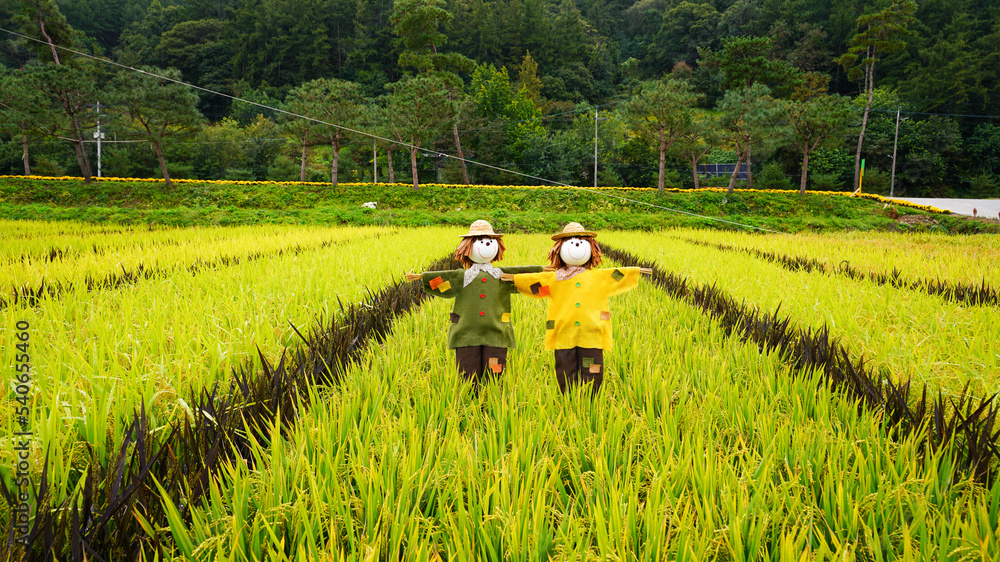 Obraz premium Korean Scarecrow